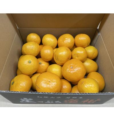 ふるさと納税 日高川町 [11月下旬から順次発送]若野産崖っぷち蜜柑 家庭用 3kg