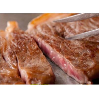 ふるさと納税 河合町 A5ランク黒毛和牛ヒレブロック 500g(ステーキ用ソース・スパイス付)