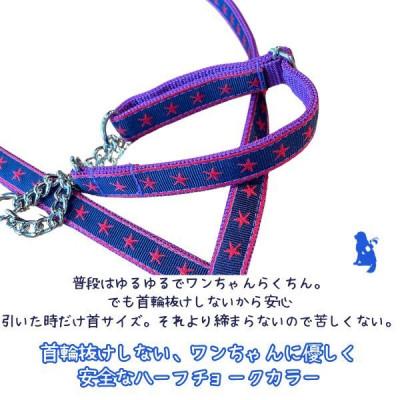 ふるさと納税 浜松市 小型犬用 Sサイズ ハーフチョークカラーとリードのセット 【ネイビースター】の画像