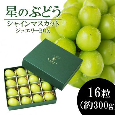 ふるさと納税 雲南市 令和8年夏から順次発送「星のぶどう」シャインマスカット ジュエリーBOX 16粒[秀品・化粧箱入り]