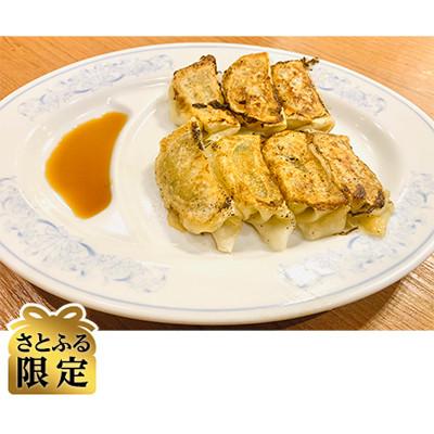 ふるさと納税 みよし市 [さとふる限定]秀鳳特製冷凍餃子 80個入り みよし市産
