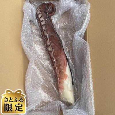 ふるさと納税 佐呂間町 [さとふる限定]真タコ足まるごと1本 1Kg前後