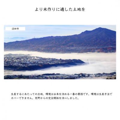 ふるさと納税 沼田市 【 みずのながれ 】令和7年産 群馬県産 沼田の