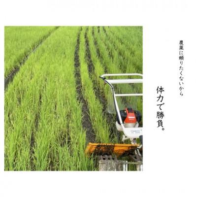 ふるさと納税 沼田市 【 みずのながれ 】令和7年産 群馬県産 沼田の