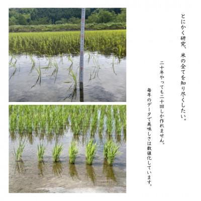 ふるさと納税 沼田市 【 みずのながれ 】令和7年産 群馬県産 沼田の
