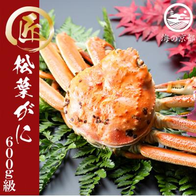 ふるさと納税 宮津市 茹で松葉蟹 1杯(600g級)