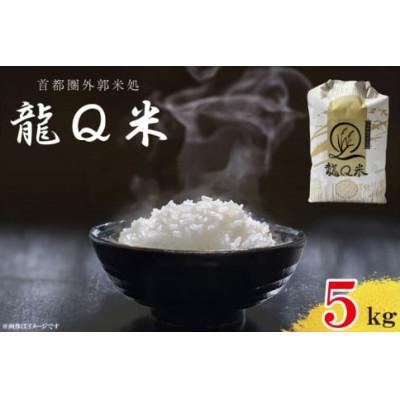 ふるさと納税 春日部市 令和7年産 龍Q米 精米[5kg]