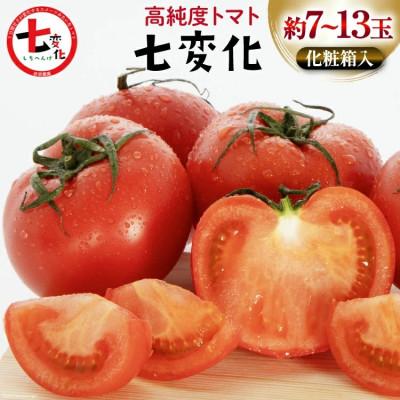 ふるさと納税 日向市 こだわりのホントに美味しい 高糖度トマト「七変化」(7〜13玉)化粧箱入り
