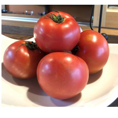 ふるさと納税 久万高原町 トマト農家のドライトマト。【150g】パック登場!_2