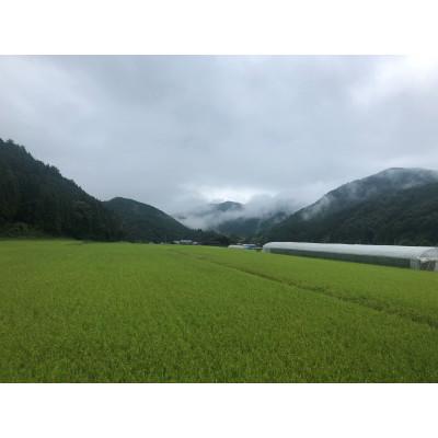 ふるさと納税 久万高原町 トマト農家のドライトマト。【150g】パック登場!_3