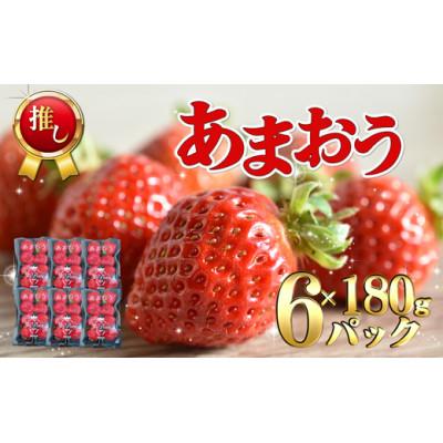 ふるさと納税 福津市 [2026年3月〜順次発送]福津産あまおう(約1080g)[スカイフローラファーム][G0151]
