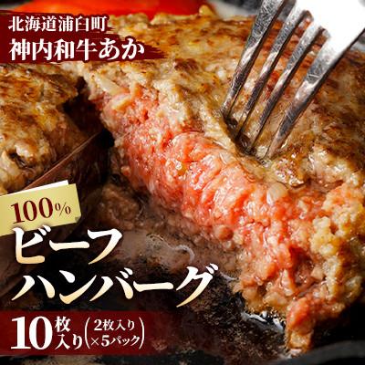ふるさと納税 浦臼町 神内和牛あか 100%ビーフハンバーグ 10枚入り(2枚入り×5パック)