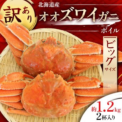 ふるさと納税 様似町 [訳あり]オオズワイガニ ボイル ビッグサイズ 2杯 合計約1.2kg
