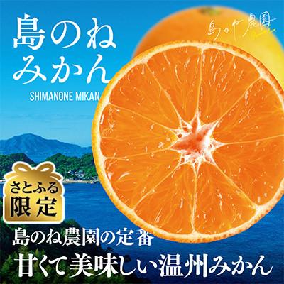 ふるさと納税 今治市 [さとふる限定]先行受付 島のね農園ブランド みかん 3kg