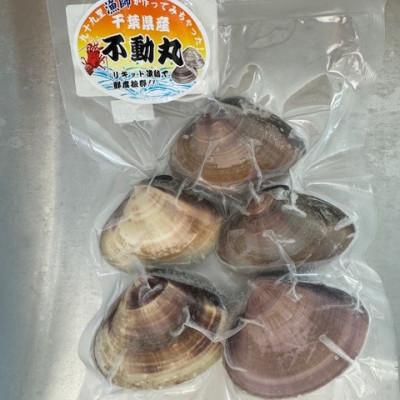 ふるさと納税 旭市 瞬間冷凍 大サイズ九十九里産地はまぐり 2kg : さと