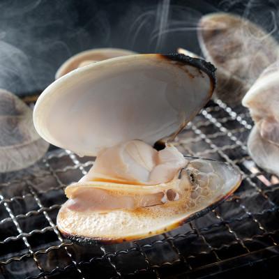 ふるさと納税 旭市 瞬間冷凍 大サイズ九十九里産地はまぐり 2kg : さと