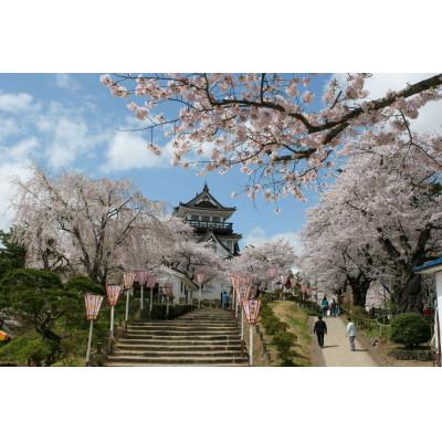 ふるさと納税 横手市 秋田県産自家採集 はちみつ さくら蜜 1200gの画像