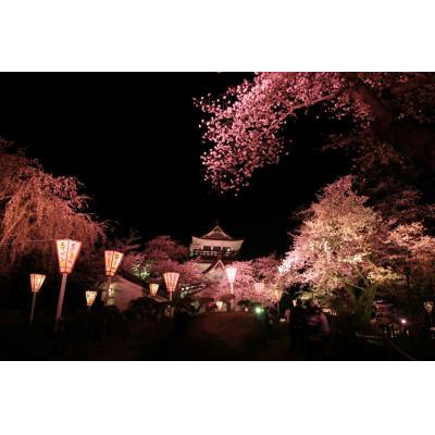 ふるさと納税 横手市 秋田県産自家採集 はちみつ さくら蜜 1200gの画像