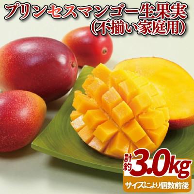 ふるさと納税 佐世保市 世界が認めたプリンセス[佐世保産]マンゴー訳あり(3kg)