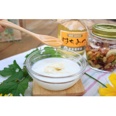 ふるさと納税 横手市 秋田県産自家採集 はちみつ けんぽなし蜜 1200gの画像