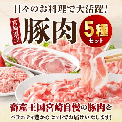 ふるさと納税 宮崎市 [期間限定]宮崎県産豚肉セット 4.2kg(宮崎市)