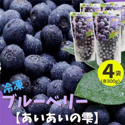 ふるさと納税 佐々町 佐々町産冷凍ブルーベリー(300g×4袋)[あいあいの雫]