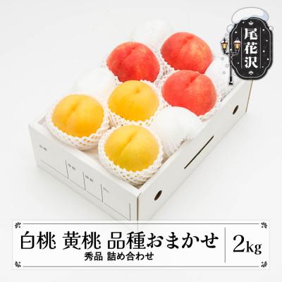 ふるさと納税 尾花沢市 白桃&amp;有袋黄桃 秀品 品種おまかせ 2kg 化粧箱入 令和8年産 山形県産 ns-mohot2