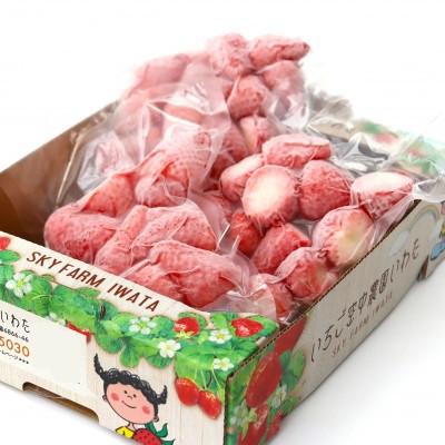 ふるさと納税 磐田市 凝結オランダ苺『紅ほっぺ』250g×3袋