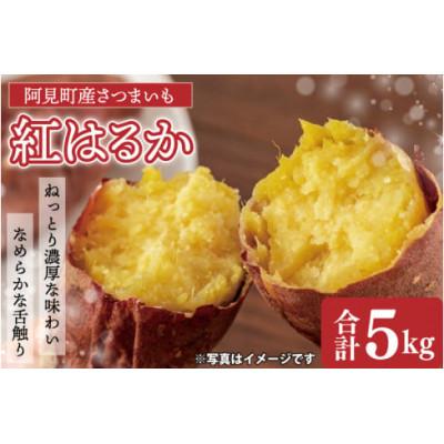 ふるさと納税 阿見町 [先行予約 11月頃から順次発送]茨城県阿見町産 さつまいも 紅はるか 5kg×1箱(04-10)