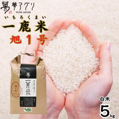 ふるさと納税 山鹿市 一鹿米 旭一号 栽培期間中肥料農薬不使用 米 白米 5kg[株式会社夢アグリ][山鹿市]