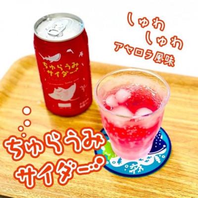 ふるさと納税 本部町 沖縄美ら海水族館オリジナル「ちゅらうみサイダー