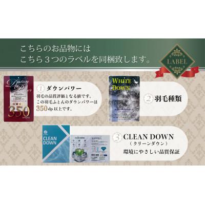 ふるさと納税 都留市 【スーパーTTC】軽量素材　羽毛掛け布団　(クイーン:220cm×210cm)_3