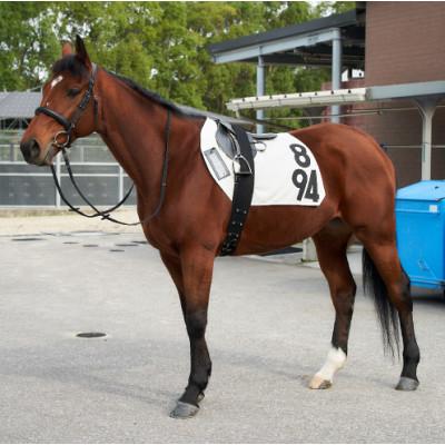 ふるさと納税 栗東市 調教ゼッケン+騎手サインセット : さとふる