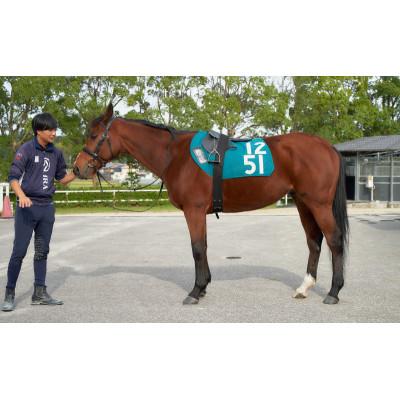 【優勝ゼッケン】ハイアーゲーム ゼッケン Ninja ZX-25R ゼッケンプレート – A-TECH Online Shop