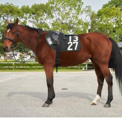 ふるさと納税 栗東市 調教ゼッケン+騎手サインセット : さとふる