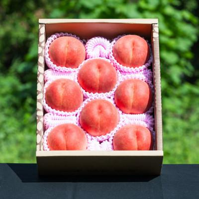 ふるさと納税 山形県 2026年産【ミネラル肥料栽培】硬めの白桃 3kg(8〜13玉) 秀品 品種おまかせ 山形県産の画像