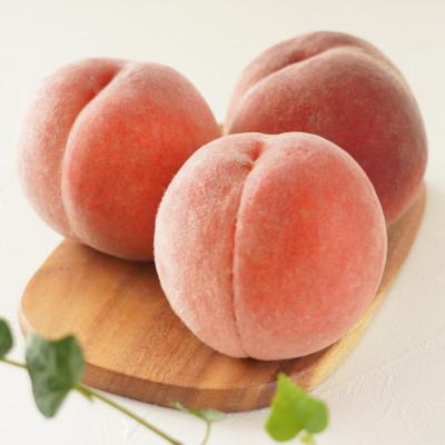 ふるさと納税 山形県 2026年産【ミネラル肥料栽培】硬めの白桃 3kg(8〜13玉) 秀品 品種おまかせ 山形県産の画像