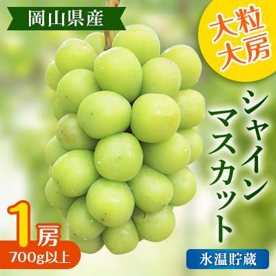 ふるさと納税 岡山市 氷温貯蔵[2025年度発送分]黒川農園 大粒 大房 シャインマスカット 1房 700g以上 岡山県