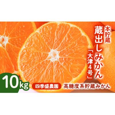 ふるさと納税 和泉市 四季盛農園の本貯蔵 蔵出しみかん10Kg 【1月中旬