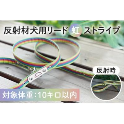 ふるさと納税 阿見町 オリジナル反射材 犬用リード(虹ストライプ)[10kg用](40-03)