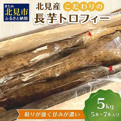 ふるさと納税 北見市 [2025年11月下旬より順次発送]北海道北見産 こだわりの長芋トロフィー5kg箱