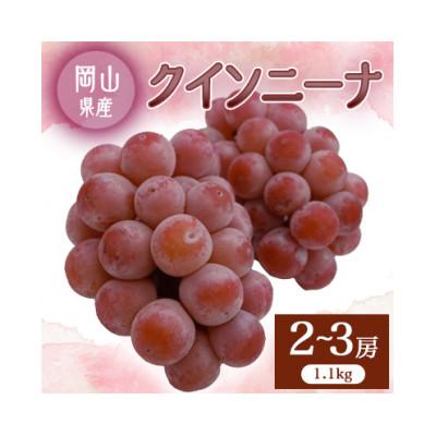 ふるさと納税 浅口市 2026年先行予約 クインニーナ 2〜3房