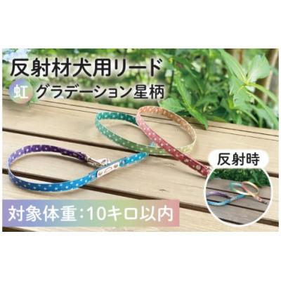 ふるさと納税 阿見町 オリジナル反射材の犬用リード(虹グラデーション星柄)[10kg用](40-04)