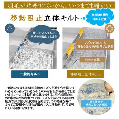 ふるさと納税 都城市 片寄らない羽毛掛布団ホワイトグースダウン95% セミダブル1.4kg柄ブルー ry0213sdGBの画像