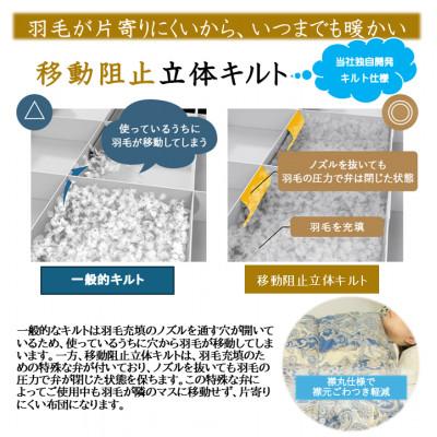 ふるさと納税 都城市 片寄らない羽毛掛布団ホワイトグースダウン95% ダブル1.55kg柄ブルー ry0213dGBの画像