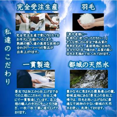 ふるさと納税 都城市 片寄らない羽毛掛布団ホワイトグースダウン95% ダブル1.55kgアイボリー ry0213dIVの画像
