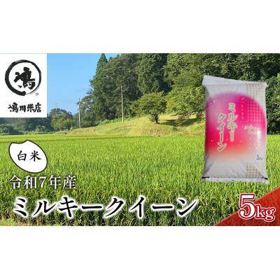 ふるさと納税 千葉市 令和7年 ミルキークイーン 白米 5kg