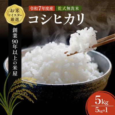 ふるさと納税 千葉市 令和7年 無洗米 コシヒカリ 5kg