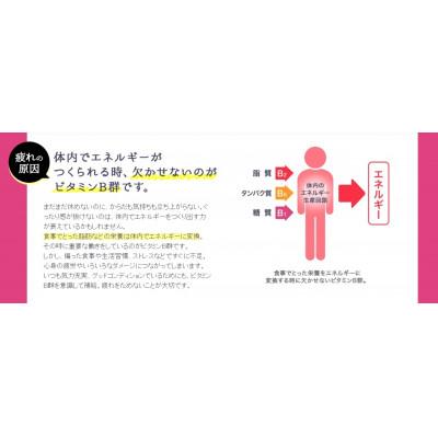 ふるさと納税 富山市 【30本】エーザイ チョコラBBご機嫌基準打数50ml×30本