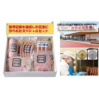 ふるさと納税 瑞浪市 ハム工房世界一記念セット